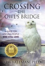Crossing the Owl's Bridge