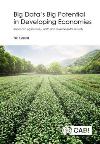 Big Data's Big Potential in Developing Economies