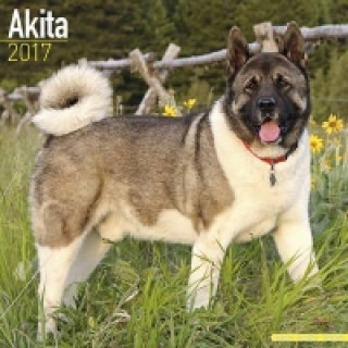 Akita Calendar 2017