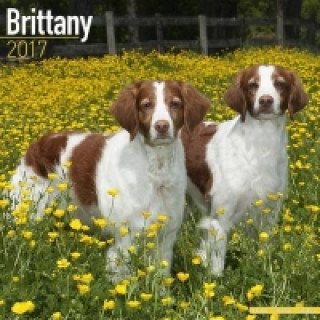 Brittany Calendar 2017