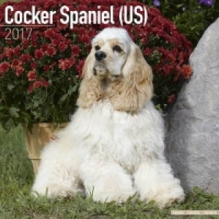 Cocker Spaniel (US) Calendar 2017
