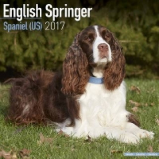 English Springer Spaniel (US) Calendar 2017