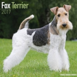 Fox Terrier Calendar 2017