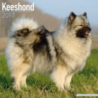 Keeshond Calendar 2017