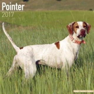 Pointer Calendar 2017