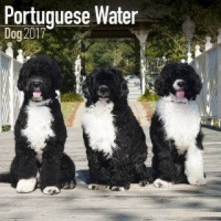 Portuguese Water Dog Calendar 2017