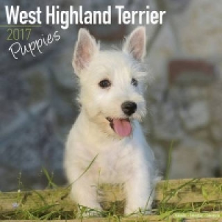 West Highland Terrier Puppies Calendar 2017