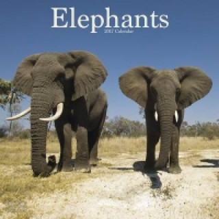 Elephants Calendar 2017