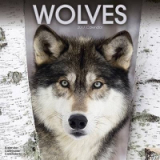 Wolves Calendar 2017