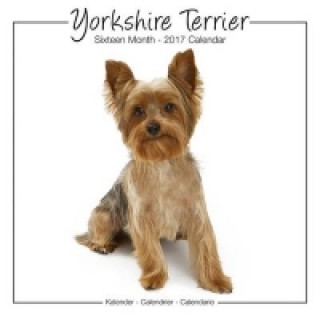 Yorkshire Terrier Studio Calendar 2017