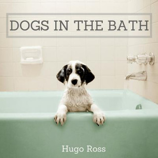 Dogs in the Bath