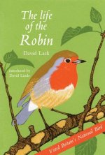 Life of the Robin