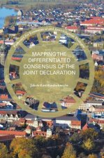 Mapping the Differentiated Consensus of the Joint Declaration