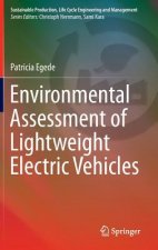 Environmental Assessment of Lightweight Electric Vehicles