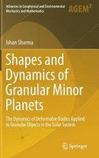 Shapes and Dynamics of Granular Minor Planets