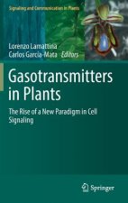 Gasotransmitters in Plants