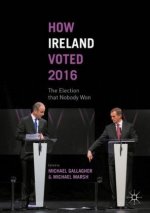 How Ireland Voted 2016