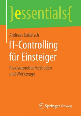 IT-Controlling fur Einsteiger