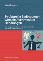 Strukturelle Bedingungen wirtschaftskrimineller Handlungen