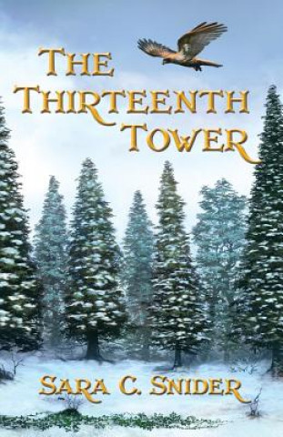 Thirteenth Tower
