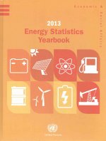 Energy statistics yearbook 2013