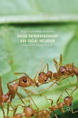 Social Entrepreneurship and Social Inclusion