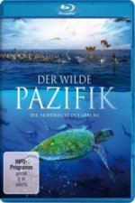 Der wilde Pazifik - Die Schönheit des Lebens, 1 Blu-ray