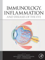 Immunology, Inflammation and Diseases of the Eye