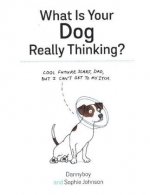 What Is Your Dog Really Thinking?