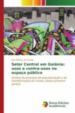 Setor Central em Goiânia: usos e contra-usos no espaço público