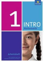 INTRO Mathematik SI - Arbeitsheft 1