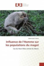 Influence de l'Homme sur les populations du magot
