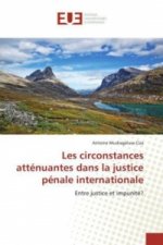 Les circonstances atténuantes dans la justice pénale internationale