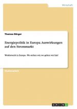 Energiepolitik in Europa. Auswirkungen auf den Strommarkt