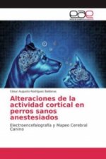 Alteraciones de la actividad cortical en perros sanos anestesiados