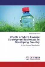 Effects of Micro Finance Strategy on Businesses in Developing Country