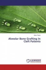 Alveolar Bone Grafting In Cleft Patients