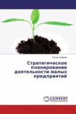 Strategicheskoe planirovanie deyatel'nosti malyh predpriyatij