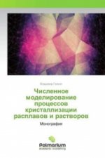 Chislennoe modelirovanie processov kristallizacii rasplavov i rastvorov