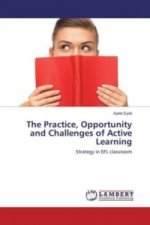 The Practice, Opportunity and Challenges of Active Learning