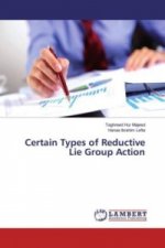 Certain Types of Reductive Lie Group Action