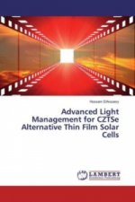 Advanced Light Management for CZTSe Alternative Thin Film Solar Cells