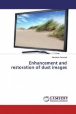 Enhancement and restoration of dust images