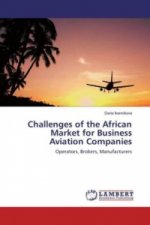 Challenges of the African Market for Business Aviation Companies