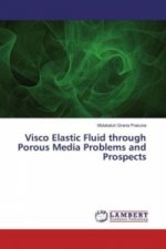 Visco Elastic Fluid through Porous Media Problems and Prospects