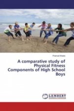 A comparative study of Physical Fitness Components of High School Boys