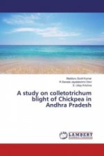 A study on colletotrichum blight of Chickpea in Andhra Pradesh
