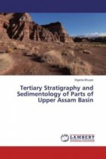 Tertiary Stratigraphy and Sedimentology of Parts of Upper Assam Basin