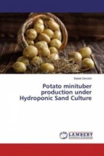 Potato minituber production under Hydroponic Sand Culture
