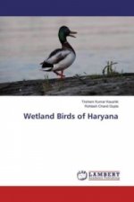 Wetland Birds of Haryana